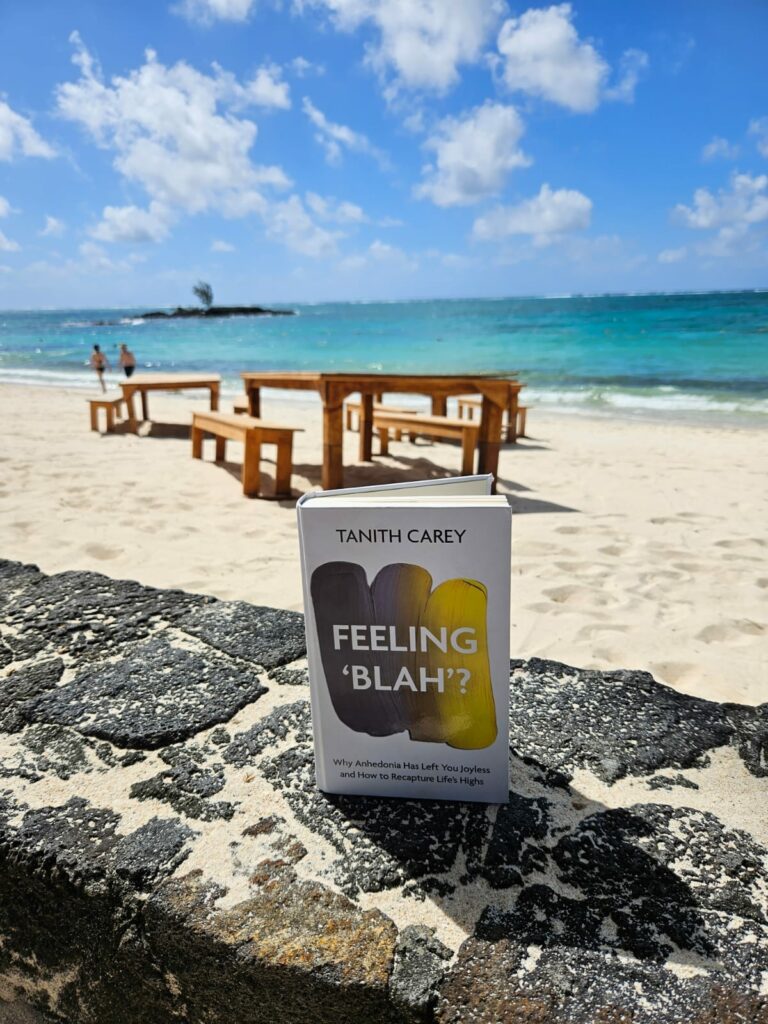 Feeling'Blah'? by Tanith Carey explores the causes, prevalence and cure for anhedonia. A picture of the book, in the sun, on a wall, at a beach.